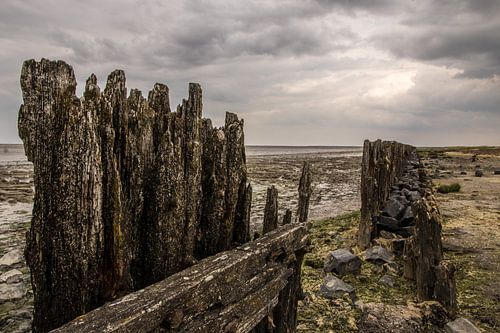 Waddenkust van Hans Hoekstra