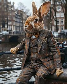 Konijn in hartje Amsterdam