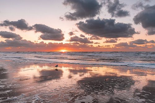 Zonsondergang op het strand