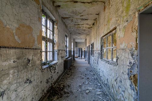 Gang in verval van Vivian Teuns