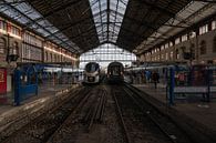 Marseille Saint Charles station by Werner Lerooy thumbnail