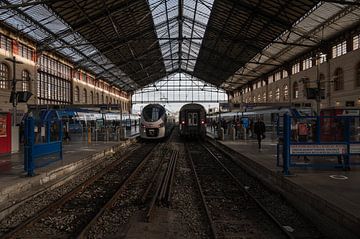 Het station van Marseille Saint Charles van Werner Lerooy