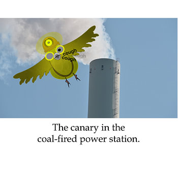 Der Kanarienvogel im Kohlekraftwerk.