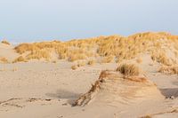 Structuren van zand en wind op een waddeneiland