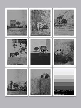 POLAROID 107 WANDLANDSCHAFT