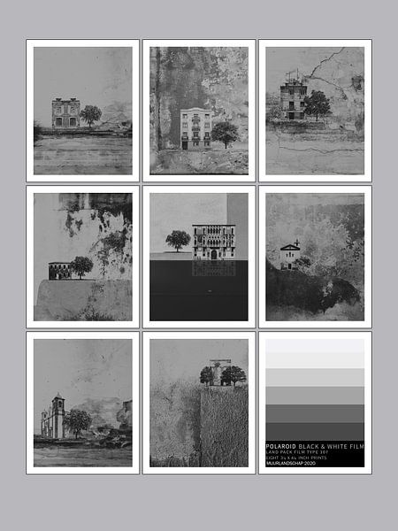 POLAROID 107 PAYSAGE MURAL par Aad Holkamp