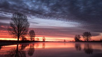 Purple dawn by Lex Schulte