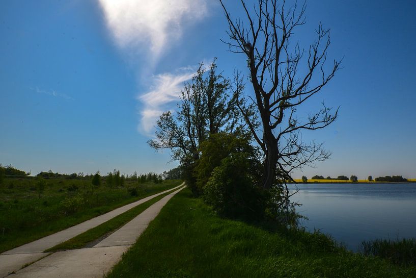 Plattenstraße nähe Puddemin von GH Foto & Artdesign