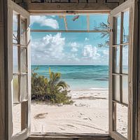 Fenster Tropisch