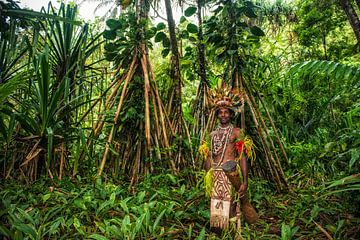 Traditioneel geklede man met trommel in het oerwoud van Papua Nieuw Guinea. van Ron van der Stappen