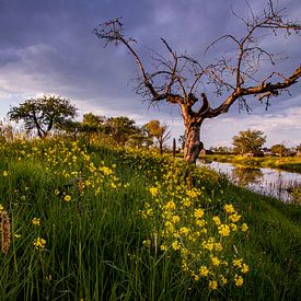 spring clouds by Leon Ouwehand