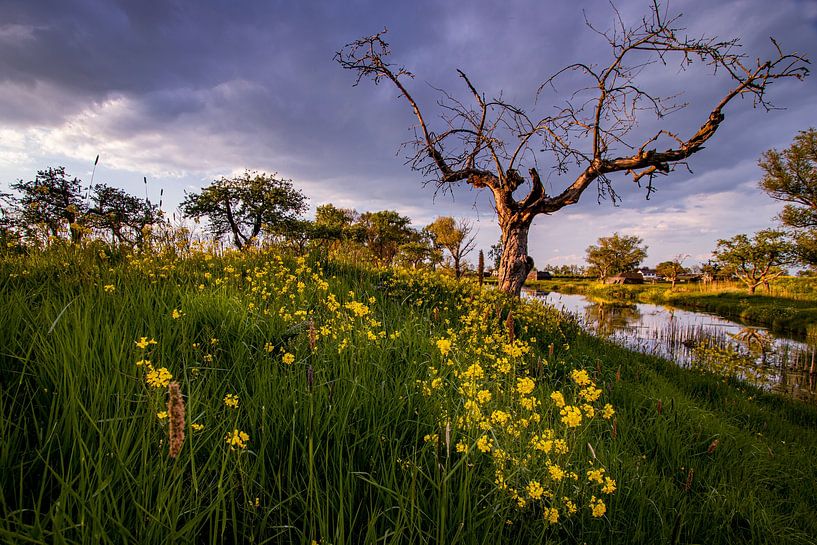 spring clouds van Leon Ouwehand