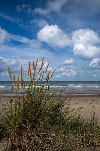 Stilte aan de Kust