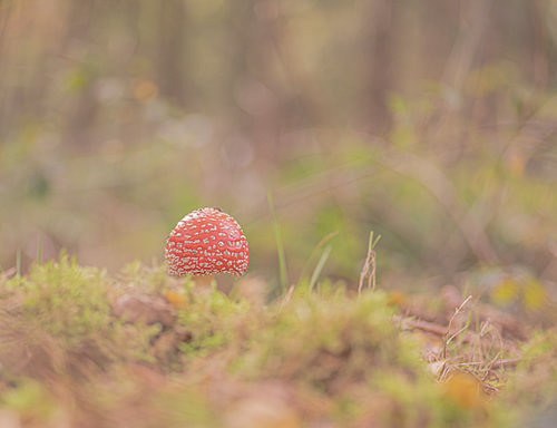 Herbstliche Atmosphäre