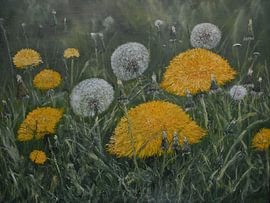 The first spring by Alfons Smeets