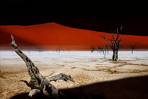Nacht in der Dead Vlei