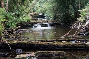 Fowley's Falls in Irland