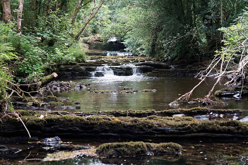 Fowley's Falls in Ierland