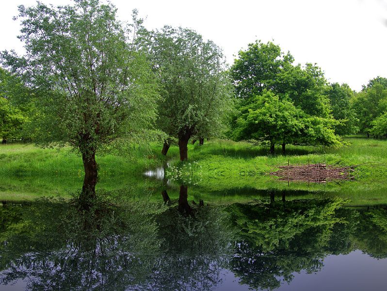 Réflexion sur le ruisseau par Edgar Schermaul