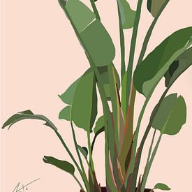 Plant by Art by HUNCH