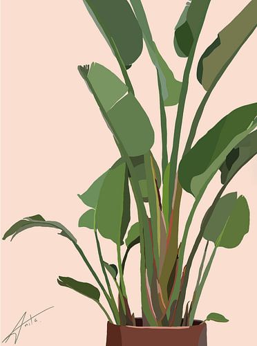Plante sur Art by HUNCH