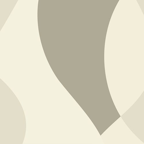 Abstracte organische vormen in neutrale kleuren nr. 3