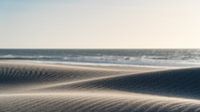 Duinen