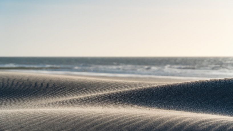 Dunes by Rik Verslype