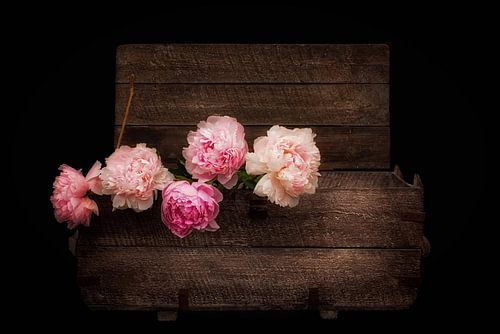 Rustic Romanticism III - Peonies in a Vintage Chest