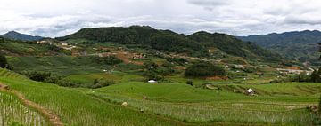 rice fields in vietnam by Jordy Blokland