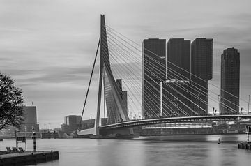 rotterdam skyline with erasmus bridge in black and white