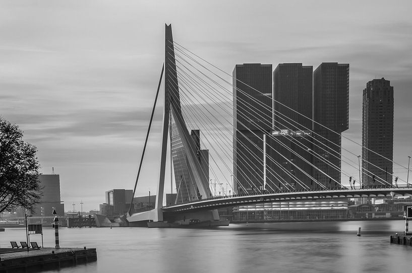 rotterdam skyline avec le pont erasmus en noir et blanc par Ilya Korzelius