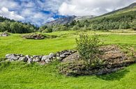 Landschaft in Norwegen von Rico Ködder Miniaturansicht