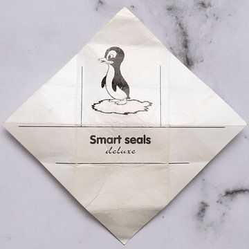 Gnome post smart Seal 2 on marble by Floris Kok