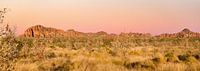 Panoramafoto zonsopgang Bungle Bungles Australie