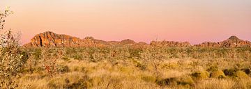 Photo panoramique lever de soleil Bungle Bungles Australie sur Laura Krol