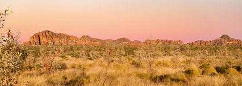 Panoramafoto zonsopgang Bungle Bungles Australie van Laura Krol