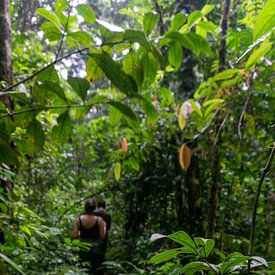 Ecuador - Jungle by Eline Willekens