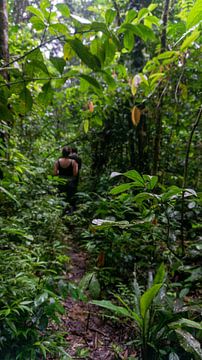 Ecuador - Jungle van Eline Willekens
