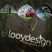 Richard Looij photo de profil