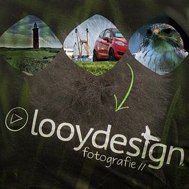 Richard Looij photo de profil