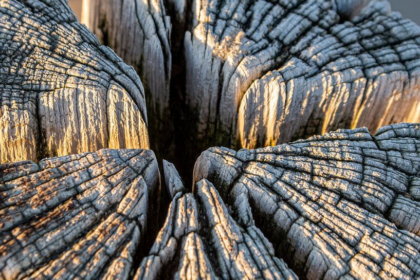 Close up van een oude houten paalhoofd bij zonsondergang in Burgh Haamstede (Zeeland/Nederland) van Birgitte Bergman