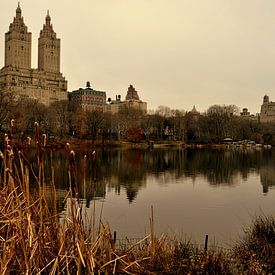 Zicht op the San Remo vanuit Central Park New York van Bianca Dekkers-van Uden