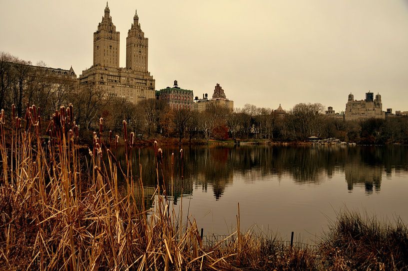 Sicht auf Central Park in New York City von Bianca Dekkers-van Uden