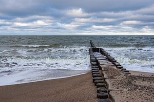Buhnen an der Küste der Ostsee auf dem Fischland-Darß