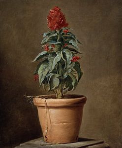 Een potplant, Henri-Horace Roland Delaporte