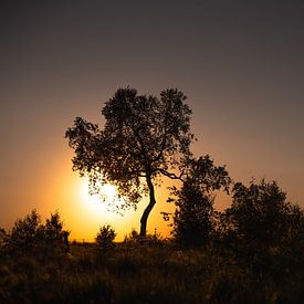 Sonnenuntergang im Hohen Venn von Imagination by Mieke