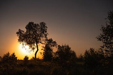 Coucher de soleil dans les Hautes Fagnes