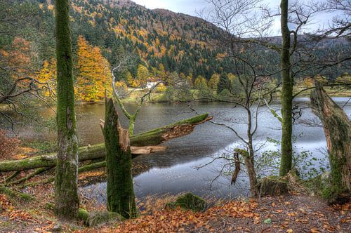 Vosges
