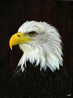 Tête d'aigle à gauche